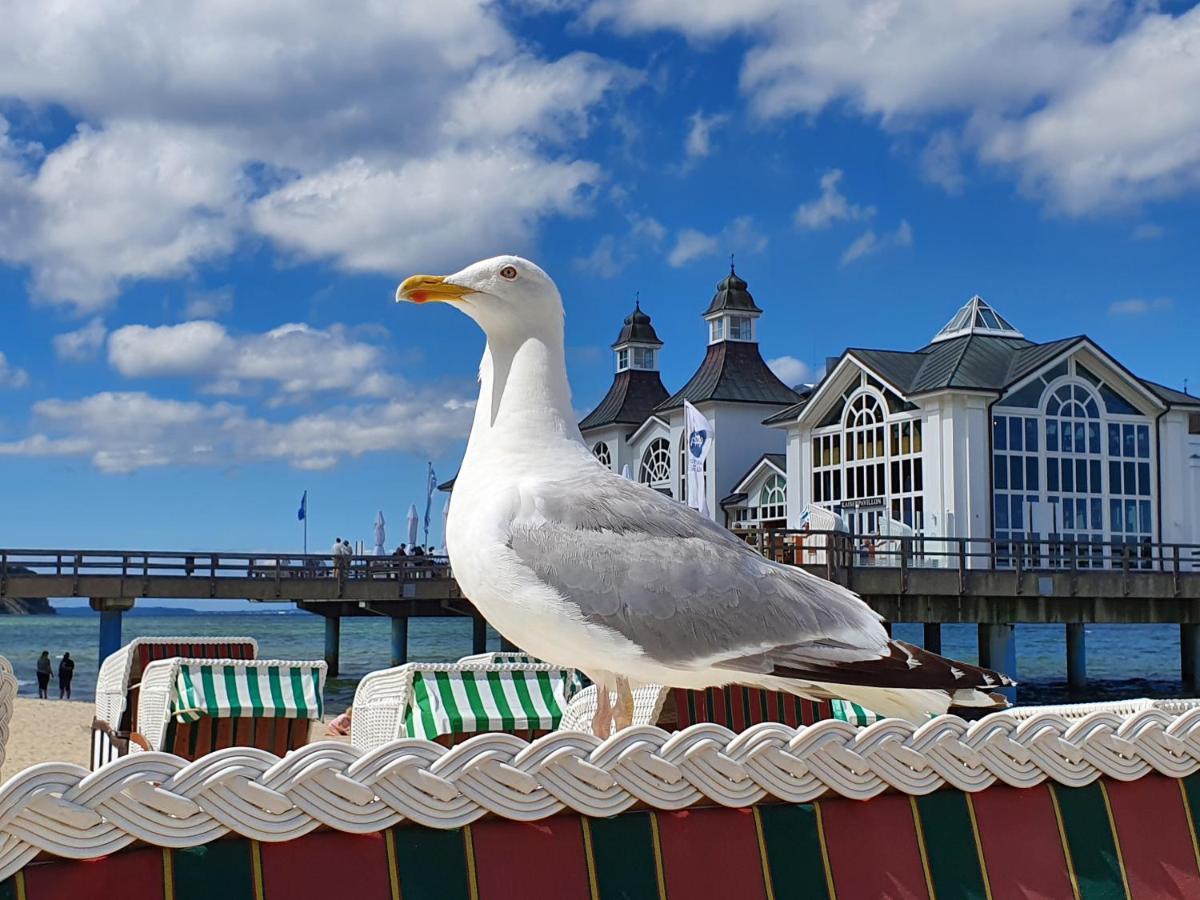 Das Appartement Inselliebe Ruegen Inkl Sauna Und 3H Taeglich Eintritt Ahoi Schwimmbad Sellin Kültér fotó